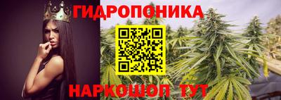 гидра Белореченск